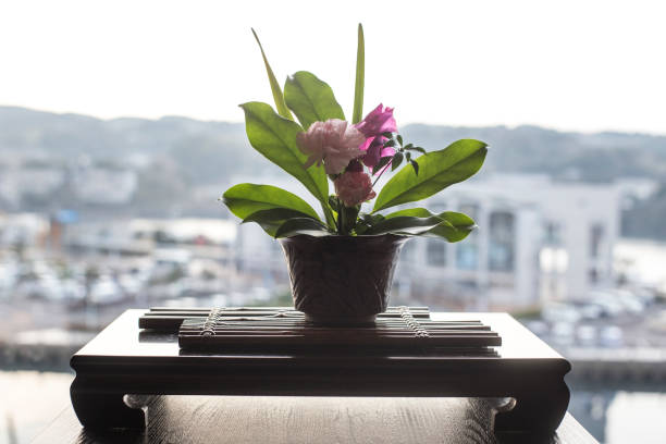 Flower pot on wooden table in living room of vintage italian house