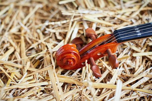 A cropped close-up of the peg head or scroll at the top of a violin, which is lying in straw in a country barn.