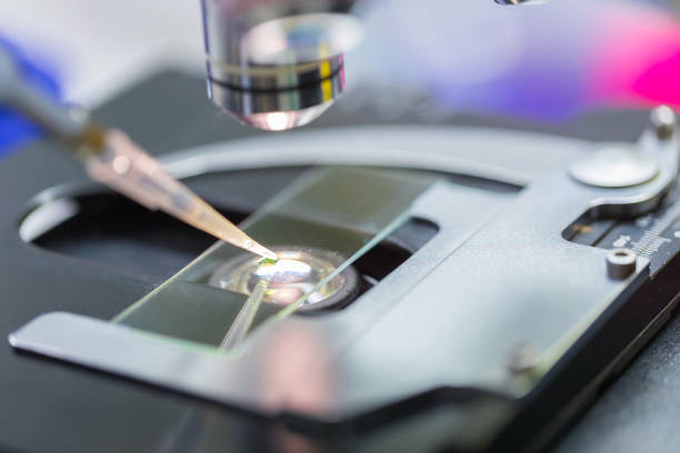istock Scientist dropping chemical liquid on the slide at microscope, concept science and technology 1138812023