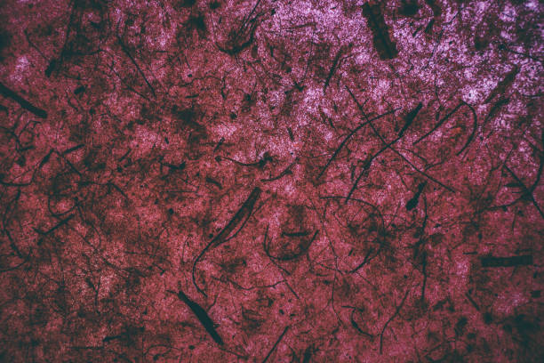 Dark red texture. Abstract red texture and background for design made with vintage paper. Rough red texture.
