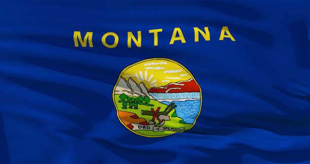 istock Montana flag pattern on the fabric texture ,vintage style 1138812123