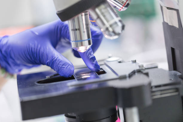 istock Scene of medical laboratory, scientist hands using microscope for chemistry samples in laboratory 1138812124