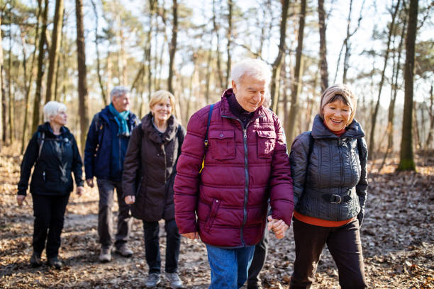Group of hikers walking in forest Group of hikers walking in forest. Senior men and woman walking through country path. grunewald berlin stock pictures, royalty-free photos & images