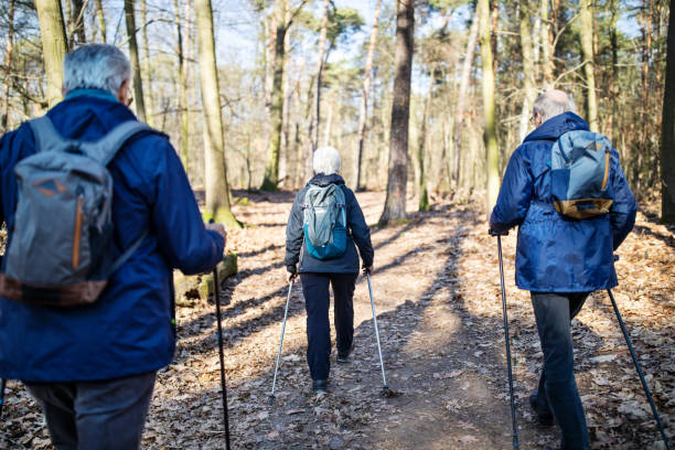 istock Senior friends on a country walk 1138813969
