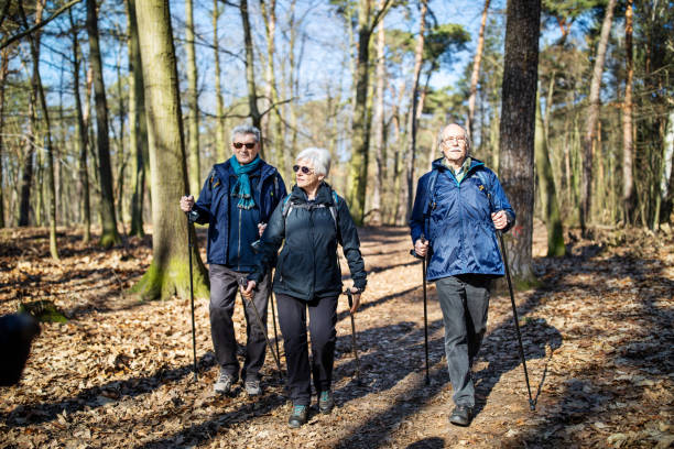 istock Senior friends hiking through forest trail 1138813988