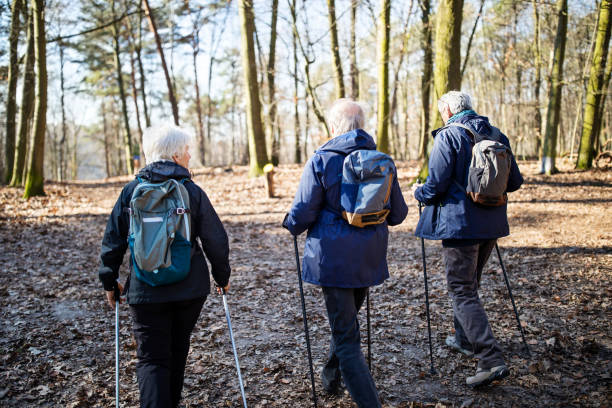 istock Seniors with backpacks hiking in forest 1138813990
