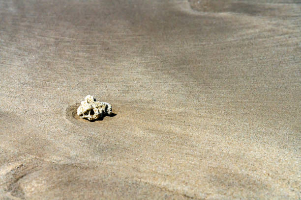 Pebble in the waves on Pakarang beach in Thailand.
