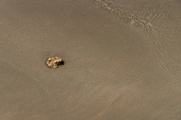 Pebble in the waves on Pakarang beach in Thailand.