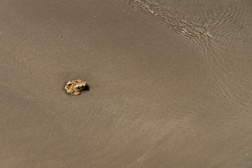 Pebble in the waves on the beach