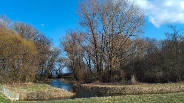 istock a small canal in the woods 1138816927