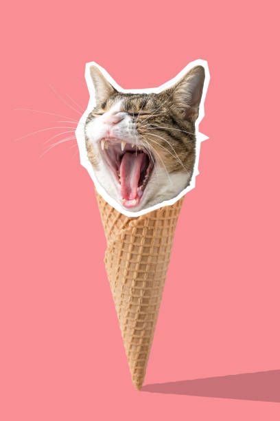 istock Funny cat head on ice cream cone. Minimal vibrant summer background. 1138819826