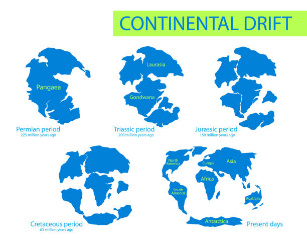 illustrazioni stock, clip art, cartoni animati e icone di tendenza di deriva dei continenti. illustrazione vettoriale di pangea, laurasia, gondwana, continenti moderni in stile piatto. il movimento delle terre continentali sul pianeta terra in diversi periodi da 250 mya ad oggi. - triassic