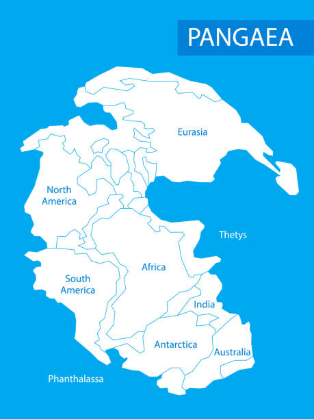 팡 아 또는 판게아. 벡터 일러스트 레이 션은 초 대륙의 후반에 존재 하 고 초기 중생지 시대. 평면 스타일의 지도. 디자인, 인쇄, 교육을 위한 요소입니다. 포스터. - continents globe continent tectonic stock illustrations