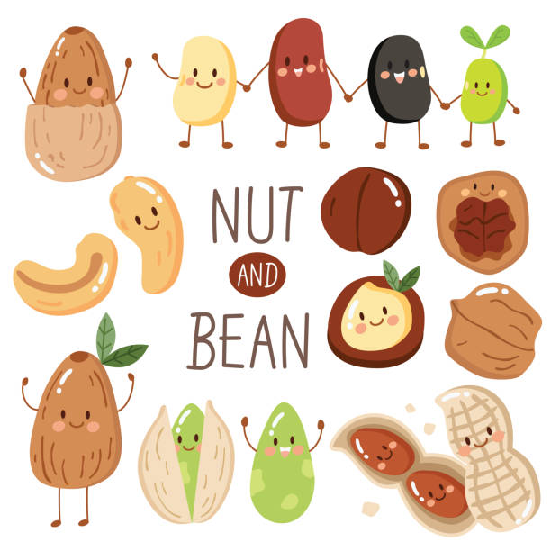 set happy cute nut and bean,almond,peanut,seed,Pistachio, cashew,red bean,black bean, hazelnut and macadamia. Illustration in cartoon style. protein from bean and nut,cute character, good food, healthy food bean stock illustrations