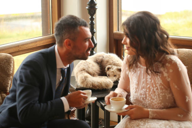 istock In love wedding couple posing indoor 1138824407