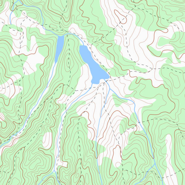 illustrazioni stock, clip art, cartoni animati e icone di tendenza di sfondo mappa contorno topografico a colori - glen trool