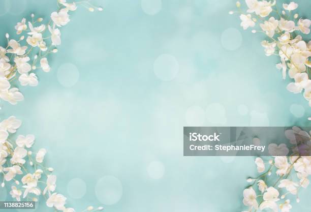 ブルーフローラルボケスプリングの背景 - 背景のストックフォトや画像を多数ご用意 - 背景, 花, 春