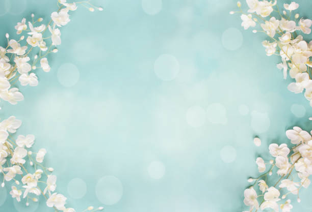 Blue Floral Bokeh Spring Background Beautiful and peaceful spring flower blossoms and blurred bokeh against a blue background.Image shot from top view. teal photos stock pictures, royalty-free photos & images