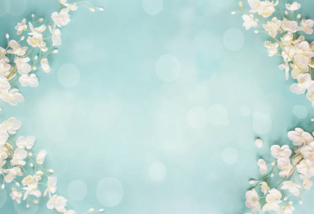 Blue Floral Bokeh Spring Background Beautiful and peaceful spring flower blossoms and blurred bokeh against a blue background.Image shot from top view. the may pictures stock pictures, royalty-free photos & images