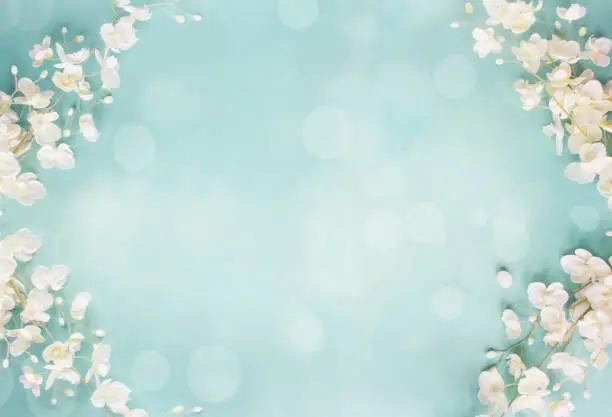 Photo of Blue Floral Bokeh Spring Background