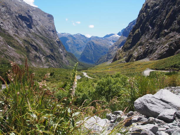 Milford sound