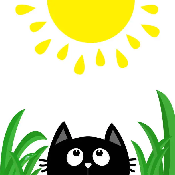 Vector illustration of Black cat face head silhouette looking up to shining sun. Green grass dew drop. Cute cartoon character. Kawaii animal. Baby card. Pet collection. Flat design style. White background. Isolated