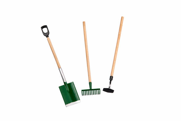 Small gardening rake, hoe and shovel Small gardening rake, hoe and shovel isolated on white background garden hoe photos stock pictures, royalty-free photos & images