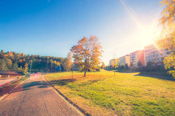 Autumn park view from Kajaani, Finland.