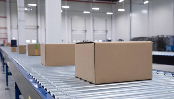 istock Packed courier on production line against cardboard boxes in warehouse. 1138839128