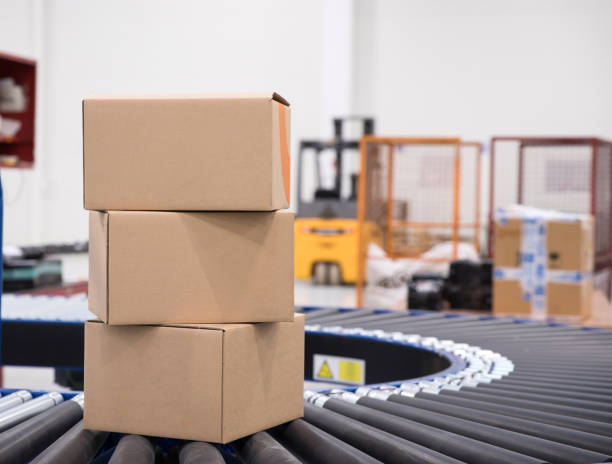 istock Packed courier on production line against cardboard boxes in warehouse. 1138839167