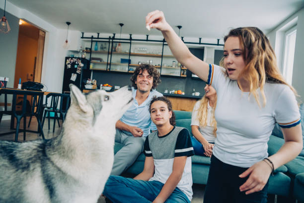 istock Cheerful family with Husky 1138839331