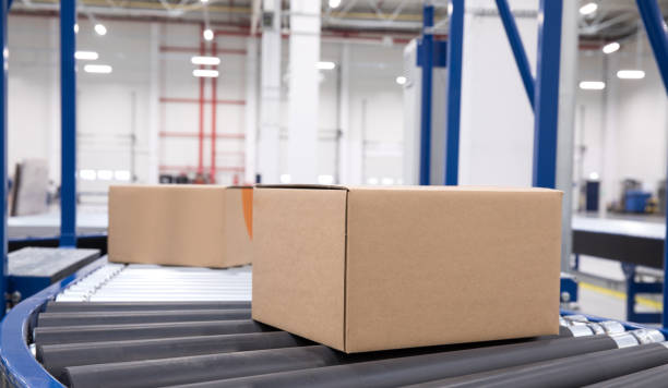 istock Packed courier on production line against cardboard boxes in warehouse. 1138839378