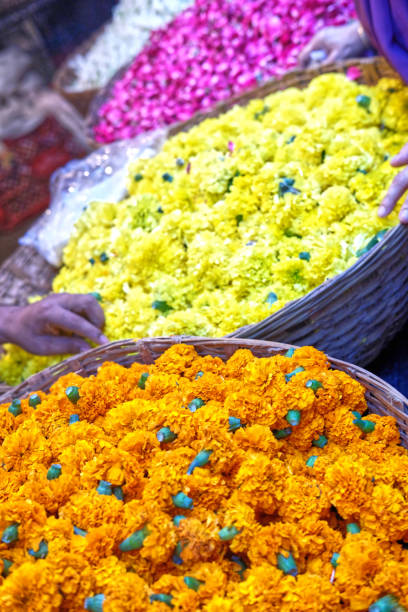 istock baskets of camation flowers 1138839393
