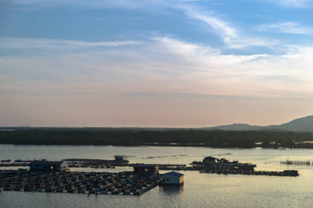 istock sea food farm on the river 1138840073