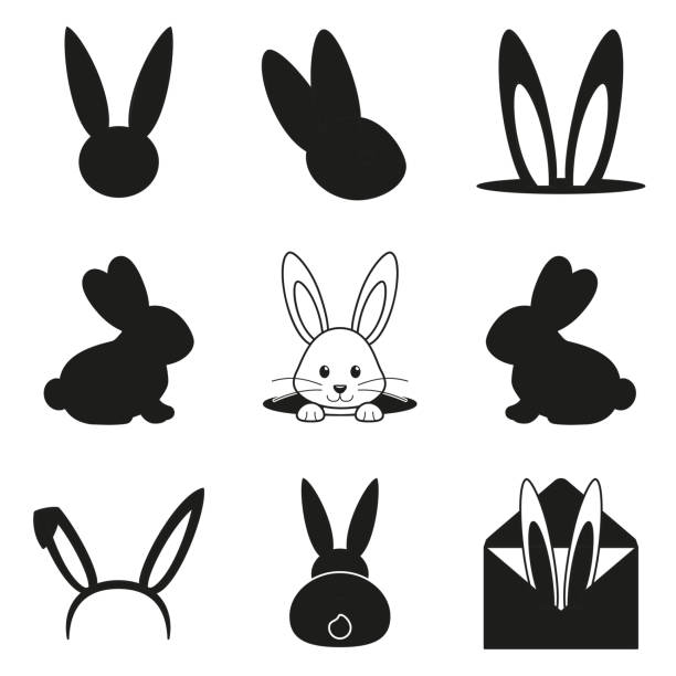 черно-белый пасхальный кролик силуэт набор - pets happiness white black stock illustrations