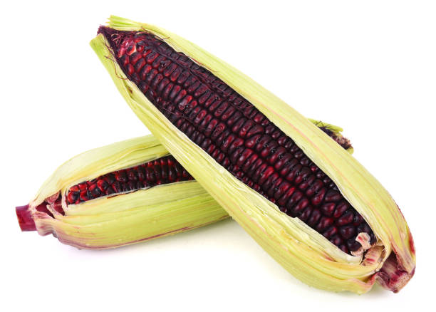 istock fresh purple corn isolated on a white background 1138844253