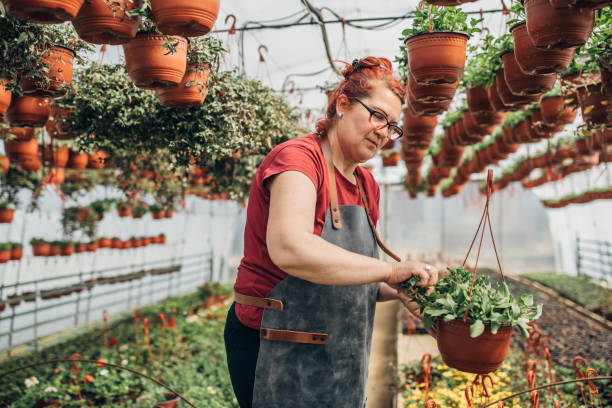 istock Redhead lady working on flower farm 1138845646