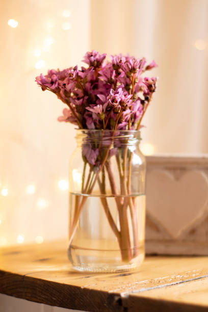 rose bergenia pacumbis (oreilles d’éléphant chinois) dans un vase sur une table en bois - flower pot vase purple decor photos et images de collection