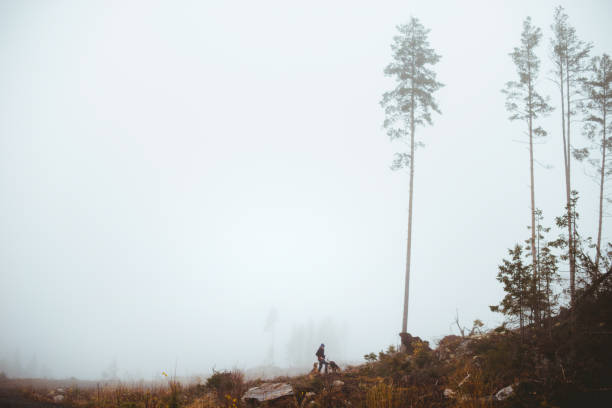 Foggy dog walk