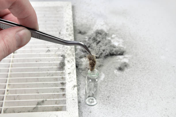 istock Sampling of ventilation dust with tweezers 1138847923