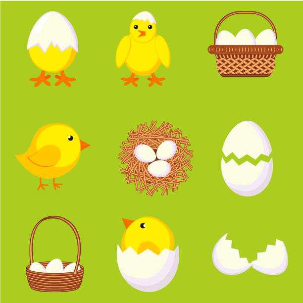 illustrazioni stock, clip art, cartoni animati e icone di tendenza di set di uova di gallina dei cartoni animati colorati - animal egg chicken new cracked