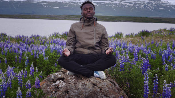 istock Meditating on a meadow full of blooming lupines 1138850957