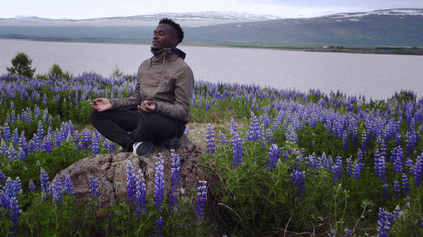 istock Meditating on a meadow full of blooming lupines 1138850985