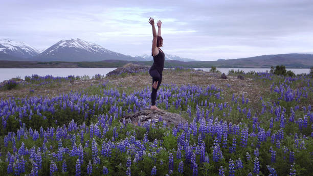 istock Tree pose on a meadow full of blooming lupines 1138851220