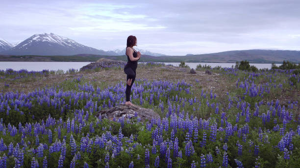 istock Tree pose on a meadow full of blooming lupines 1138851230