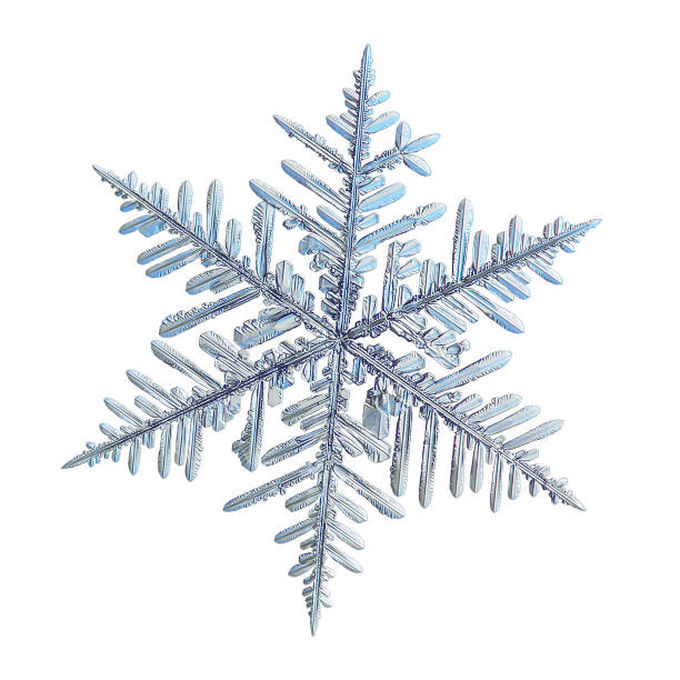 Real snowflake isolated on white background stock photo