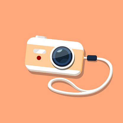 Camera in a flat style. Vector illustration.