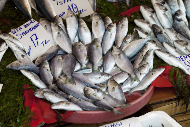 istock Bluefish with price tag at fish market 1138857274