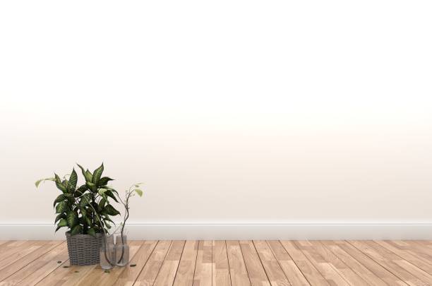 istock Plant and vase on table in wood floor on empty white wall background. 3D rendering 1138857683