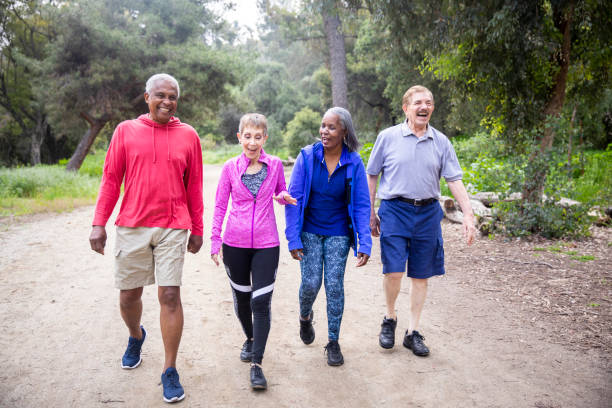 senior friends walking on forest trail - walking exercising relaxation exercise group of people imagens e fotografias de stock
